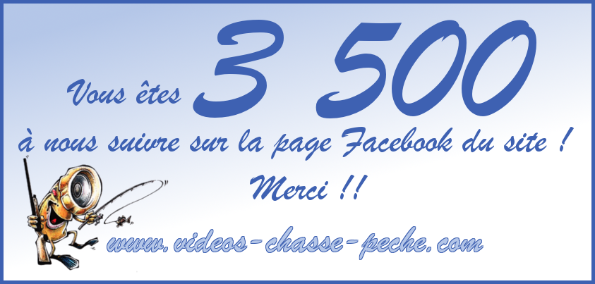 Facebook VCP 3 500 "J'aime"